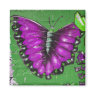 street ART magnet