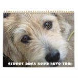 Street Dogs Need Love too! 2011 Calender Wall Calendars