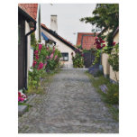 Street in old Visby Sweden flyers