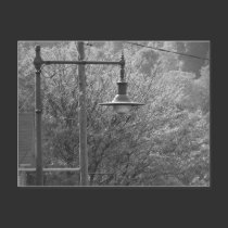 Street Lamp postcards