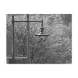 Street Lamp postcards