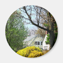 Street With Forthysia Fridge Magnets