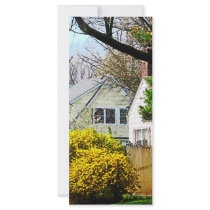 Street With Forthysia Rack Card