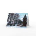 Street with Snow and Evergreen card