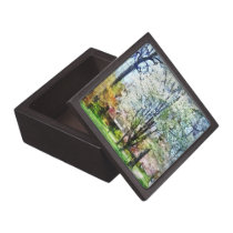 Street With White Flowering Trees premium gift boxes