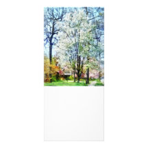 Street With White Flowering Trees Rack Cards