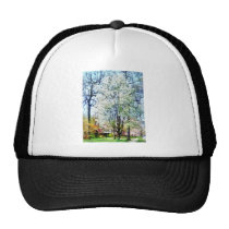 Street With White Flowering Trees hats
