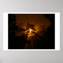 Streetlamp Starburst Posters