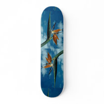 Strelitzia flower skate boards