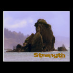 Strength Post Card postcards