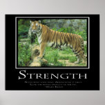 Strength posters