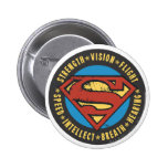 Strength, Vision, Flight Pinback Button