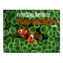 Stress Motivational Postcard