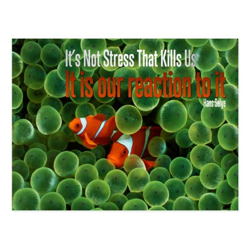 Stress Motivational Postcard