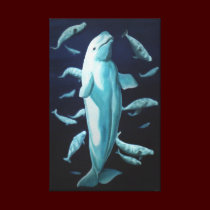 Stretched Canvas Beluga Whales Art Print canvas prints