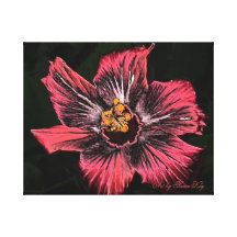 Stretched Canvas Print. Hibiscus