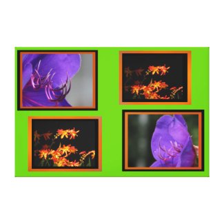 Stretched Canvas Print - Purple and Orange Flowers