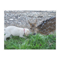 Stretched Canvas; Puppy & Bambi Photo canvas prints