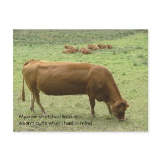 Stretched limo postcard postcard