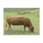 Stretched limo postcard
