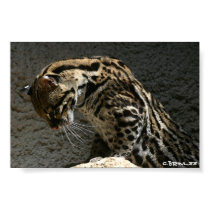 Stretching Kitty posters by babyarm26 Stretching Kitty posters