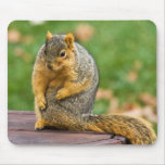 Stretching Out -mousepadcopy