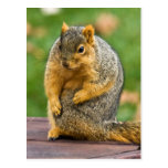 Stretching Out Post Cards