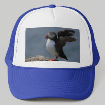 Stretching Puffin Hat