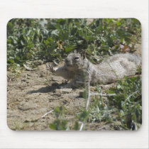 Stretching Squirrel Mousepad by delladolittle Stretching Squirrel Mousepad