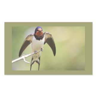 Stretching Swallow sticker