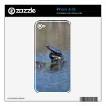 Strike a pose Turtle Skin For iPhone 4