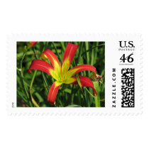 Striker postage
