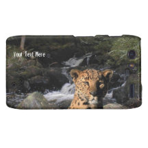 Striking Leopard  Magnificent Waterfall Background Motorola Droid RAZR Cover