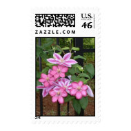 Striking Pink Floral Stamps stamp