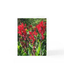 STRIKING RED CANNAS ~ GARDEN INSPIRATION CARDS!
