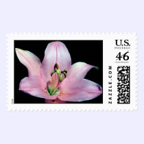 Striking Tiger Lily postage