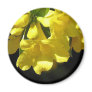 Striking yellow jasmine magnet