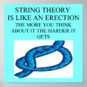 string theory is sexy physics joke posters