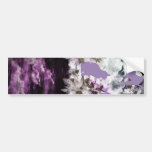 Stripe common coastal highway and cat bumper stickers