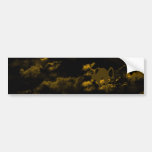Stripe common coastal highway and cat bumper stickers