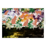 Stripe common coastal highway and cat greeting card