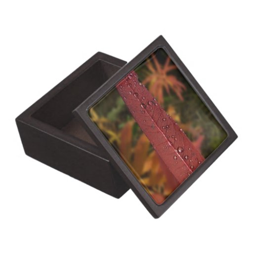 Stripe of Water Beads Premium Keepsake Box
