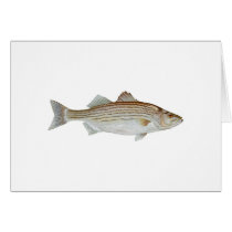 Striped Bass Art Card