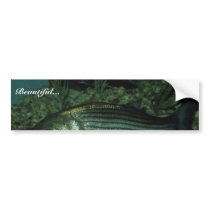 Striped Bass Bumper Stickers
