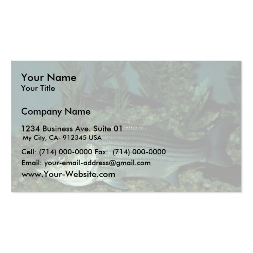 Striped Bass Business Card (front side)