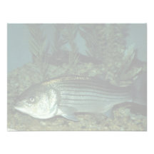 Striped Bass Custom Invitations