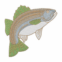 Striped Bass