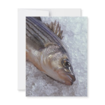 Striped bass invitations