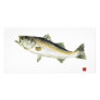 Striped Bass Personalized Photo Card