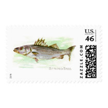 Striped Bass Postage Stamp